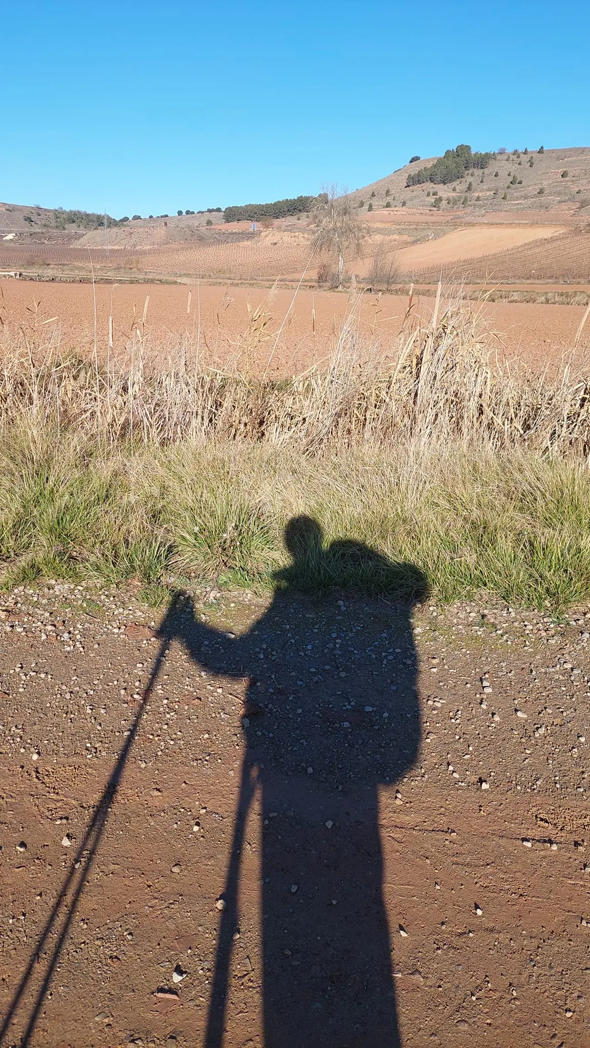 325140297_1522999548195346_8730455368058701848_n.jpg?_nc_cat=100&ccb=1-7&_nc_sid=5614bc&_nc_ohc=Ca9sw6CbZyAAX-VFD6O&_nc_ht=scontent-ssn1-1.xx&oh=00_AfDxZdU13wzQLbqoxvNglgOD_7W8ZEFlMhUZ8AlU3aK3bA&oe=64F4B984