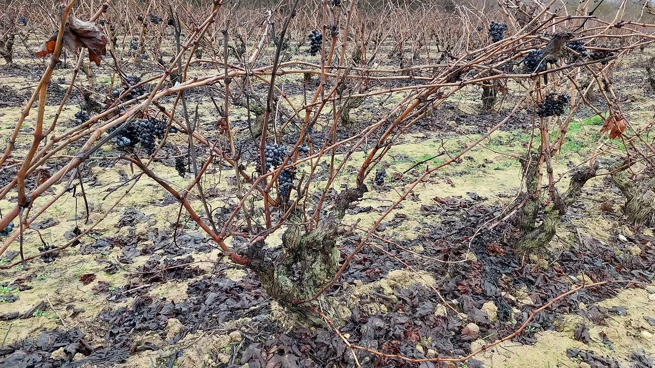 324079707_1626916847760954_7371149978608229180_n.jpg?_nc_cat=111&ccb=1-7&_nc_sid=5614bc&_nc_ohc=gYf7zVZpQosAX-hVuWJ&_nc_ht=scontent-ssn1-1.xx&oh=00_AfCJUVKvH8ISiTauduZWcvL4LtHA2GeDaxWsc2s77svUXA&oe=64F47462