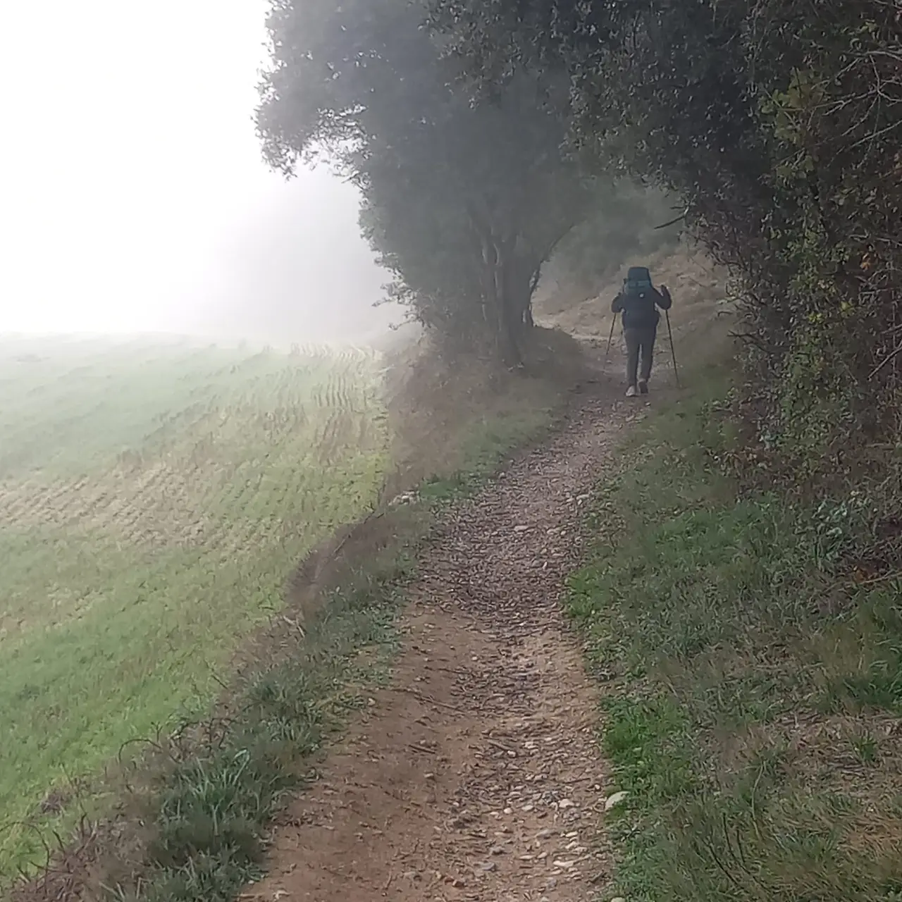 324563900_5487197164739666_7688522825857379947_n.jpg?_nc_cat=111&ccb=1-7&_nc_sid=5614bc&_nc_ohc=rgFjnWDaIEoAX8AWz32&_nc_ht=scontent-ssn1-1.xx&oh=00_AfCm8tC7-YFjMWk9N-jtr--UkbCK2HIkNf-OVvXC1v34Xg&oe=64F607D0