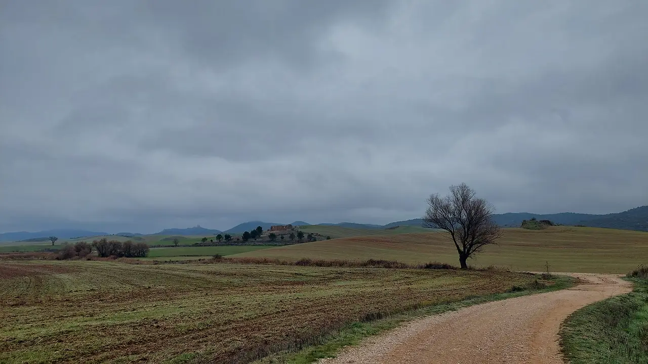 324335016_849711992983407_6055609792962853132_n.jpg?_nc_cat=109&ccb=1-7&_nc_sid=5614bc&_nc_ohc=dFKqvizJ-D8AX_C5NOR&_nc_ht=scontent-ssn1-1.xx&oh=00_AfBg8qLM3bvVqRwgYG5RS1kL3IUalCaKUzC9fHN8GWMFfA&oe=64F49BFB