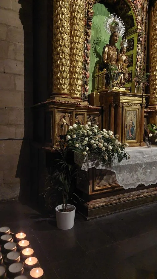 324773102_632182925331457_1977575351127065614_n.jpg?stp=dst-jpg_p526x296&_nc_cat=105&ccb=1-7&_nc_sid=5614bc&_nc_ohc=crjaflgLeD4AX_kGKP7&_nc_ht=scontent-ssn1-1.xx&oh=00_AfDVAjp7fhnezNCu6b42ld1uCQcguNsOL77zAG_4mBN14Q&oe=64F584EB