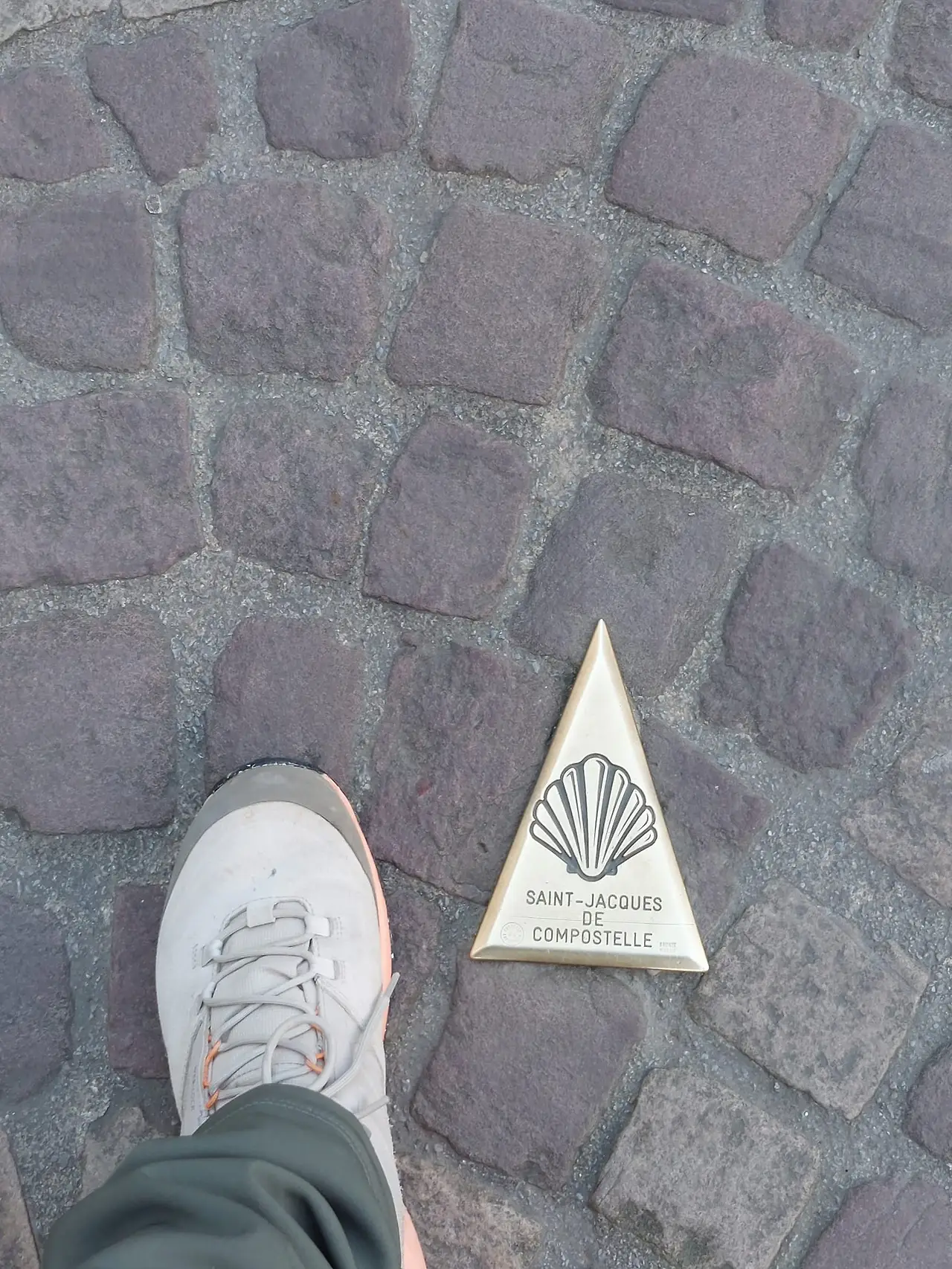 323335951_1504037936749997_5410804217012409921_n.jpg?_nc_cat=107&ccb=1-7&_nc_sid=5614bc&_nc_ohc=snMACLUTUFYAX9pezwp&_nc_ht=scontent-ssn1-1.xx&oh=00_AfDq-lvzPCO0sAuJ7hys_aH0smK0CwTbEOhWY3HmNAZ9zQ&oe=64F5F7C5