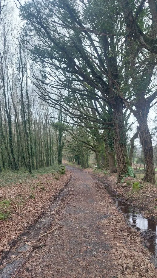 327206912_942290820020599_3675961373814155571_n.jpg?stp=dst-jpg_p526x296&_nc_cat=106&ccb=1-7&_nc_sid=5614bc&_nc_ohc=IXMtvdqHYw4AX_vz8AK&_nc_ht=scontent-ssn1-1.xx&oh=00_AfDH4CZU07wGDBWruCOW9lnxfbZcAkdhrDeu5IOoHy2D_Q&oe=64F4D574