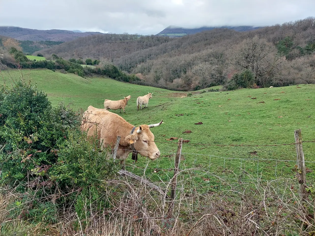 323779484_1274731053077746_1947360181617614897_n.jpg?_nc_cat=105&ccb=1-7&_nc_sid=5614bc&_nc_ohc=kW9nzt8w5g4AX-7sfvb&_nc_ht=scontent-ssn1-1.xx&oh=00_AfAglmeSZ9TW2BjihMb7u-k5TlbPlSnzlUQbvK-fjFw-bQ&oe=64F503DA