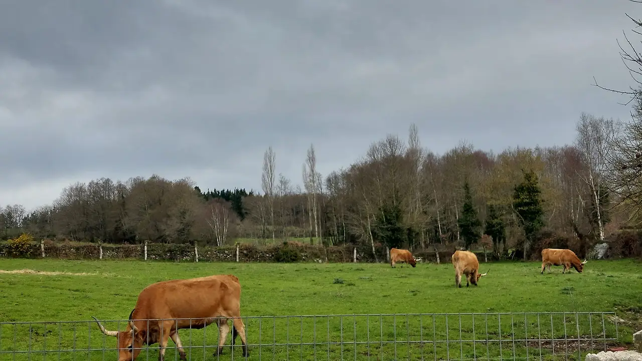 327052118_696473755545837_7765123244987563225_n.jpg?_nc_cat=110&ccb=1-7&_nc_sid=5614bc&_nc_ohc=1RnK_eO_2VIAX-3ALwi&_nc_ht=scontent-ssn1-1.xx&oh=00_AfDoWMAflBSV4bvakkm_AKx90Z56DPZwgZalUaYSUL0isQ&oe=64F5CA3B