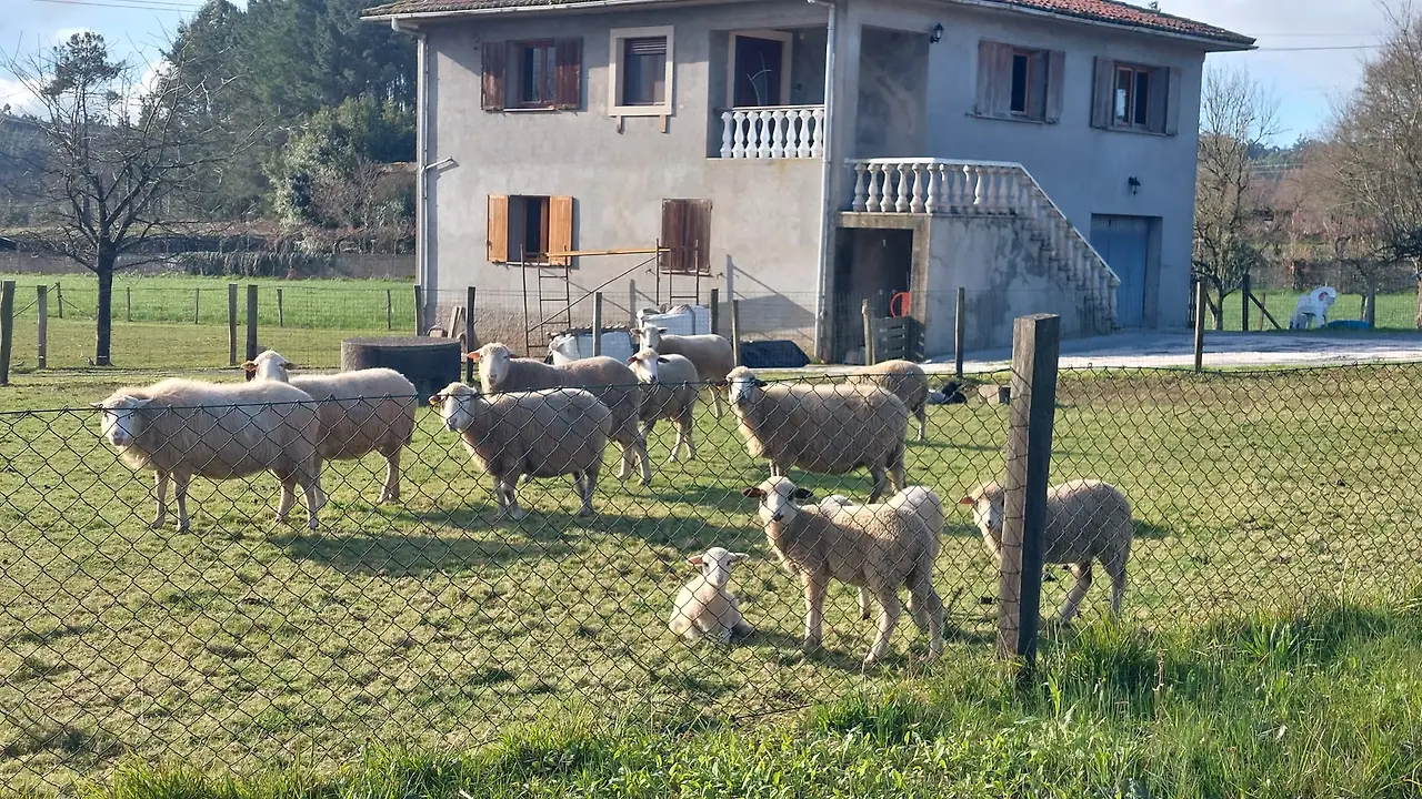 327722120_689835916212301_5080981761645994458_n.jpg?_nc_cat=109&ccb=1-7&_nc_sid=5614bc&_nc_ohc=cJQavWQdGpUAX8KLClI&_nc_ht=scontent-ssn1-1.xx&oh=00_AfARAla1ZXbHMzH5Y27tBtynJfC88nrwBNWF2YcYALyzhA&oe=64F482A8