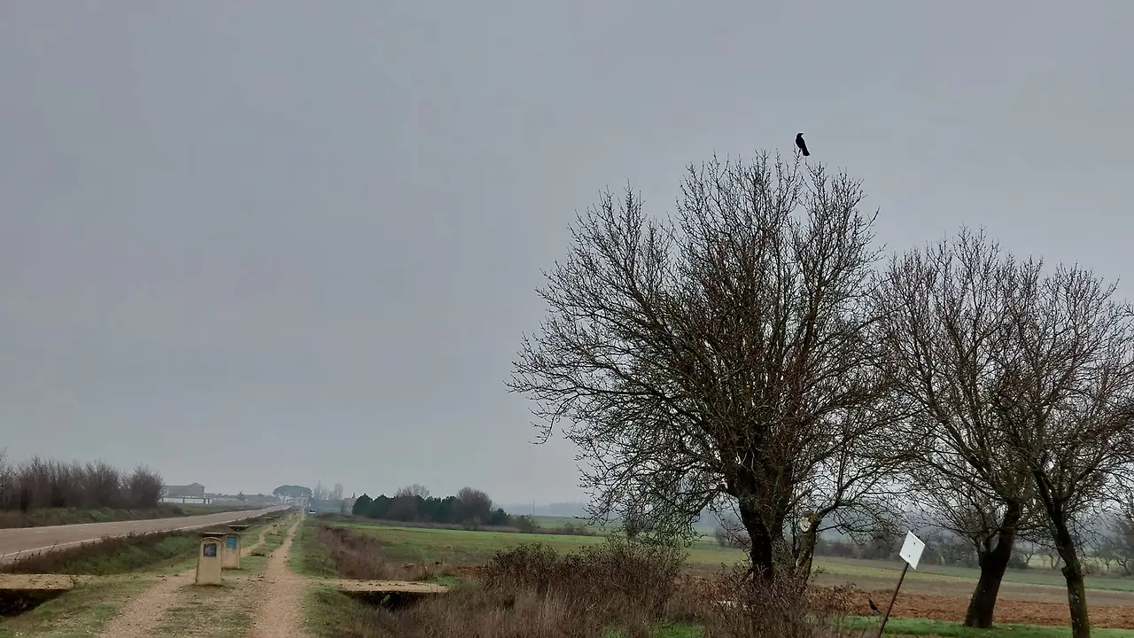 325405364_1371033627047573_5450949738559926224_n.jpg?_nc_cat=104&ccb=1-7&_nc_sid=5614bc&_nc_ohc=oaZBo3gC0V4AX8fC1Eg&_nc_ht=scontent-ssn1-1.xx&oh=00_AfC-yrTonbOi3GPOFqkrJBxqhbXZP3z8rJEImB8eOejisA&oe=64F43E61