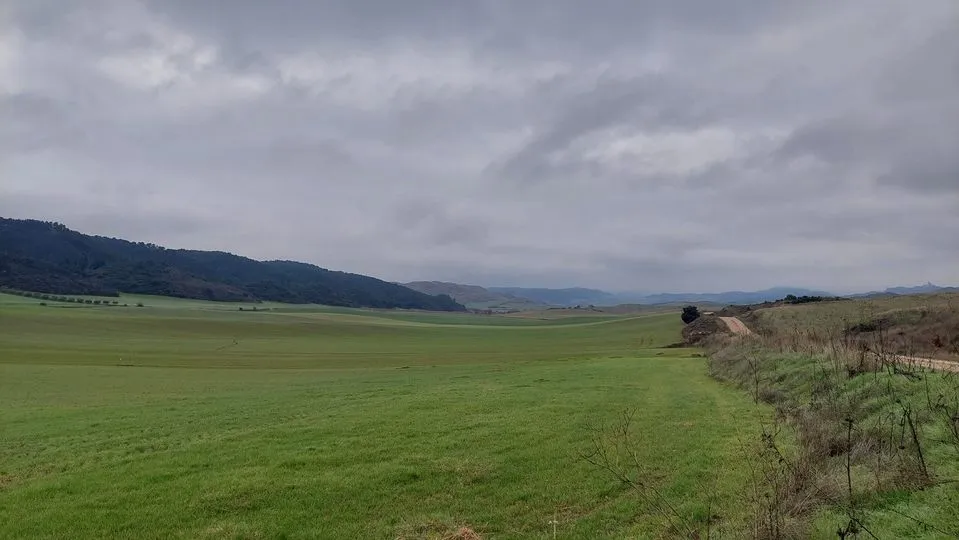 322704042_495167525861585_2176988447302740281_n.jpg?stp=dst-jpg_p180x540&_nc_cat=103&ccb=1-7&_nc_sid=5614bc&_nc_ohc=R6Rm9azeAiMAX_c044F&_nc_ht=scontent-ssn1-1.xx&oh=00_AfC1mXY_8z0r8Da20t-KU7VZAOANvuNjV2jLGE24c5qwbw&oe=64F4E574