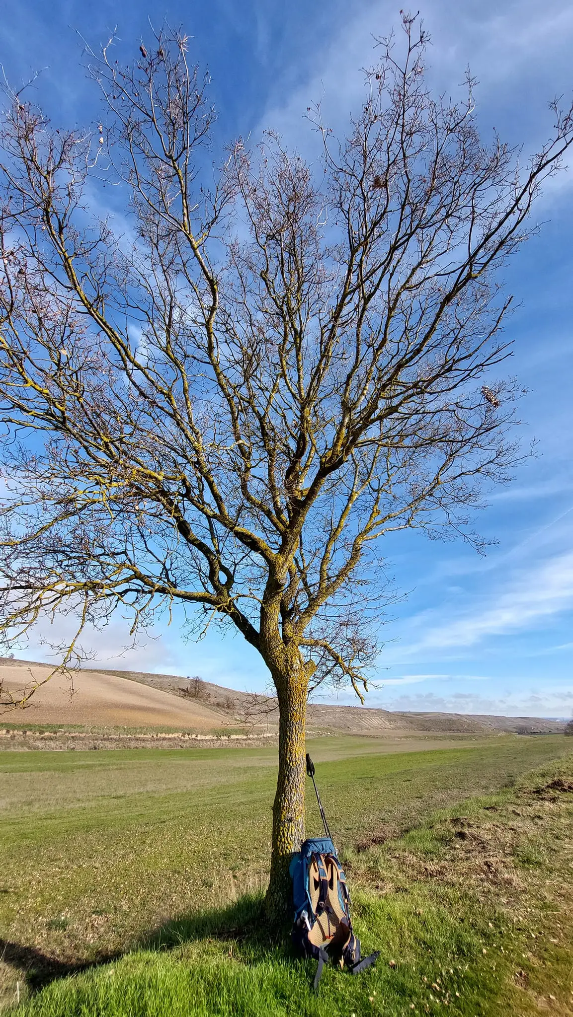 325344432_1555791124898650_1827840974409858169_n.jpg?_nc_cat=104&ccb=1-7&_nc_sid=5614bc&_nc_ohc=h_N0fgKWNfAAX9ZU09s&_nc_ht=scontent-ssn1-1.xx&oh=00_AfDbpg657NxQCcnwuIUgXfFCMAiylIqxUn2K--fJ9KeS6A&oe=64F50CFC