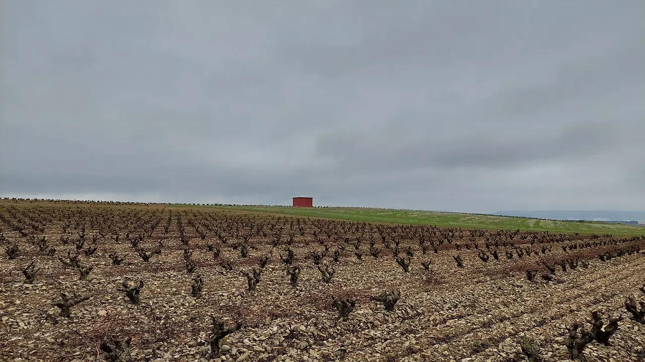 324018676_838660347238264_5320376685010820921_n.jpg?_nc_cat=105&ccb=1-7&_nc_sid=5614bc&_nc_ohc=dYjSNa27j_EAX-EpvSy&_nc_ht=scontent-ssn1-1.xx&oh=00_AfC2LWVlmyr72QMmDjstJibDG8qHvHqhkwco9k2ejea8xA&oe=64F5D74D