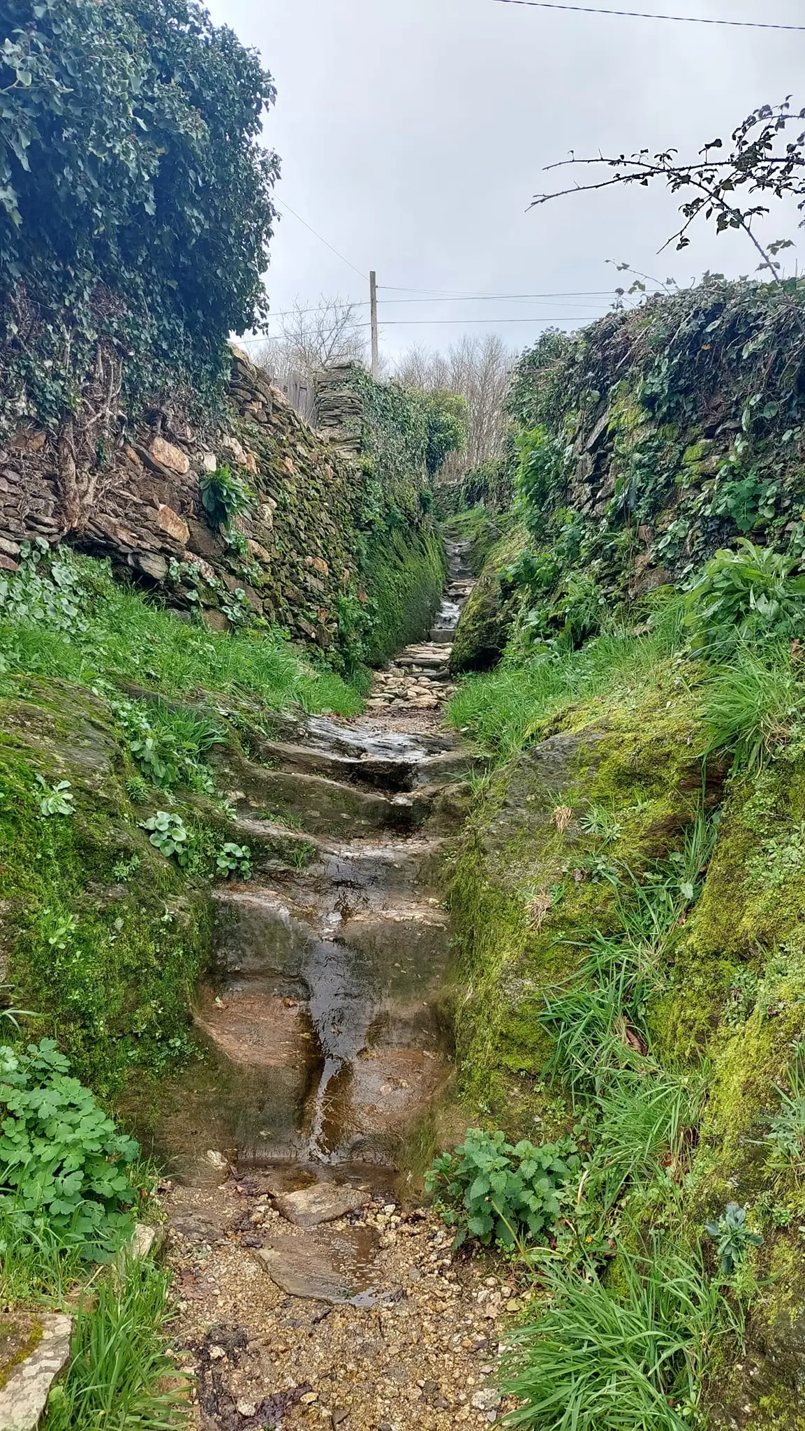 326417238_565721812113781_323875326611177187_n.jpg?_nc_cat=103&ccb=1-7&_nc_sid=5614bc&_nc_ohc=gfN8ZxiCLjYAX8La-L1&_nc_oc=AQk_9MJawvxceEVaxzXTKaZxqOiB8dRlOs9iocKFgRvi-ohdhyryzdjgK5U9CyEV5k0&_nc_ht=scontent-ssn1-1.xx&oh=00_AfC5fT8z19GXoL3uDjiukHfZEEK3k4tcJ7WMwJ9XhqJiWA&oe=64F485EB