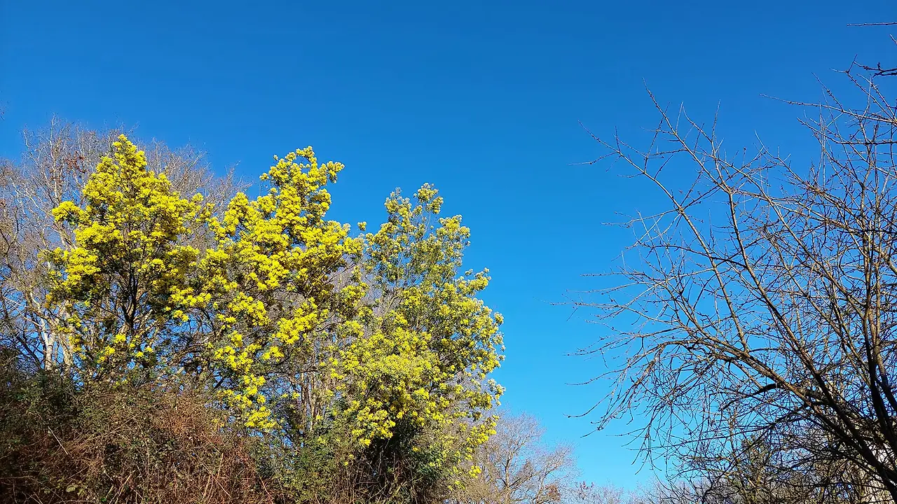 327392707_1913446358997846_1030893367584102111_n.jpg?_nc_cat=100&ccb=1-7&_nc_sid=5614bc&_nc_ohc=SqNCAUNRH5QAX9VGUdb&_nc_ht=scontent-ssn1-1.xx&oh=00_AfCpMBF5ZokgzNaY3OKq4-701GfQPQ4RL4pOdJCxQTb--g&oe=64F4F513