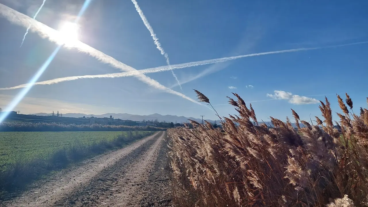 324882445_694989212102839_5094349828842999819_n.jpg?_nc_cat=110&ccb=1-7&_nc_sid=5614bc&_nc_ohc=Wv8JvXu4OOEAX_jmibj&_nc_ht=scontent-ssn1-1.xx&oh=00_AfBZ-o2u1lvh8g7ucCar_SoGB4wSOk1uNl0eburkVwk_AA&oe=64F4E535