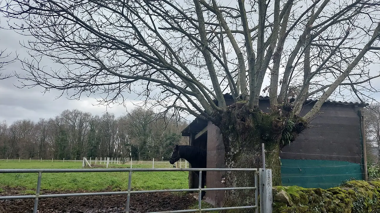 326777673_529109659197241_466965172571883698_n.jpg?_nc_cat=109&ccb=1-7&_nc_sid=5614bc&_nc_ohc=kMYN7tB2a7sAX-xHmm-&_nc_ht=scontent-ssn1-1.xx&oh=00_AfDfxsOL1B5FtxrdZeqVX7Ua798jYqx7YqIjIp14I8GFqA&oe=64F5EF26