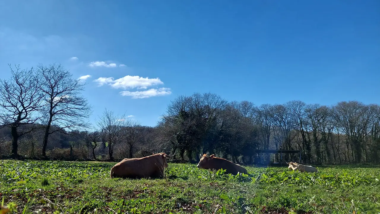 327276017_891078565368518_8928749759396173557_n.jpg?_nc_cat=109&ccb=1-7&_nc_sid=5614bc&_nc_ohc=q4a9HGIKidcAX8RewM2&_nc_ht=scontent-ssn1-1.xx&oh=00_AfDAsAJiGBDwctShBi0VN7Rsxp-8V2NaWwaoa9dkwO2ryg&oe=64F526FC