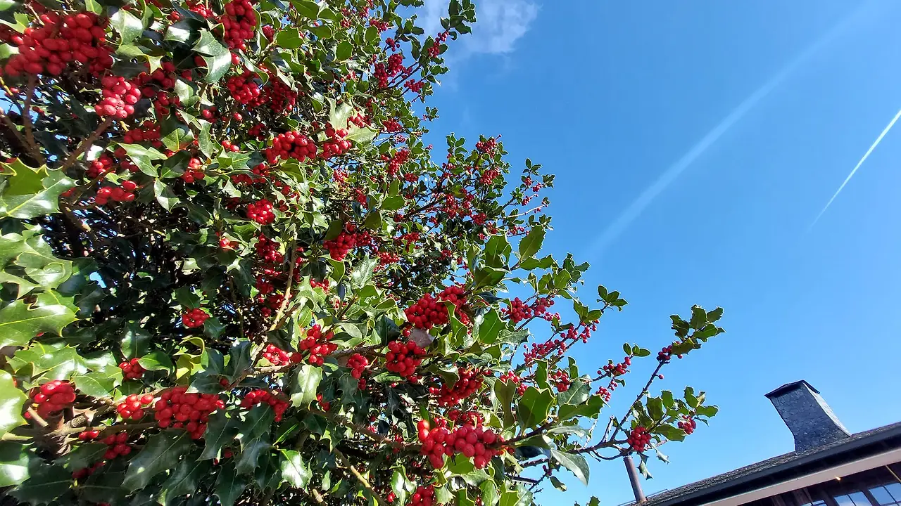 326387473_2465730683581772_137063626458214639_n.jpg?_nc_cat=107&ccb=1-7&_nc_sid=5614bc&_nc_ohc=MDaYLFF6ZeAAX-5_Hao&_nc_ht=scontent-ssn1-1.xx&oh=00_AfBNUxMx4e4jaXB_bKnetLlmZCWntmdX3FZKrniaDyvDOA&oe=64F5FE25