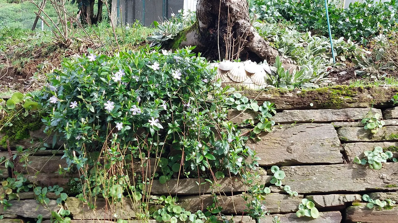 326908198_1367512187361048_6817184432399549261_n.jpg?_nc_cat=108&ccb=1-7&_nc_sid=5614bc&_nc_ohc=glVI0tL9YGoAX9D3m-g&_nc_ht=scontent-ssn1-1.xx&oh=00_AfCoCnob0fH7G7ROWIM3UBL4VHMv66cdcN-IEF7mMmnHmQ&oe=64F5B078