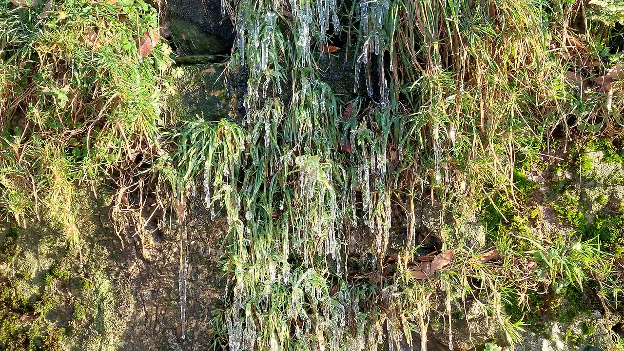 327005689_1410603313018095_2554675687660399062_n.jpg?_nc_cat=106&ccb=1-7&_nc_sid=5614bc&_nc_ohc=MTkawU-97zQAX9FtYQK&_nc_ht=scontent-ssn1-1.xx&oh=00_AfD9scx1ypNB-KxQnDWWIsI7dbo7j4SCIpC4hh22_2nK-Q&oe=64F542FB