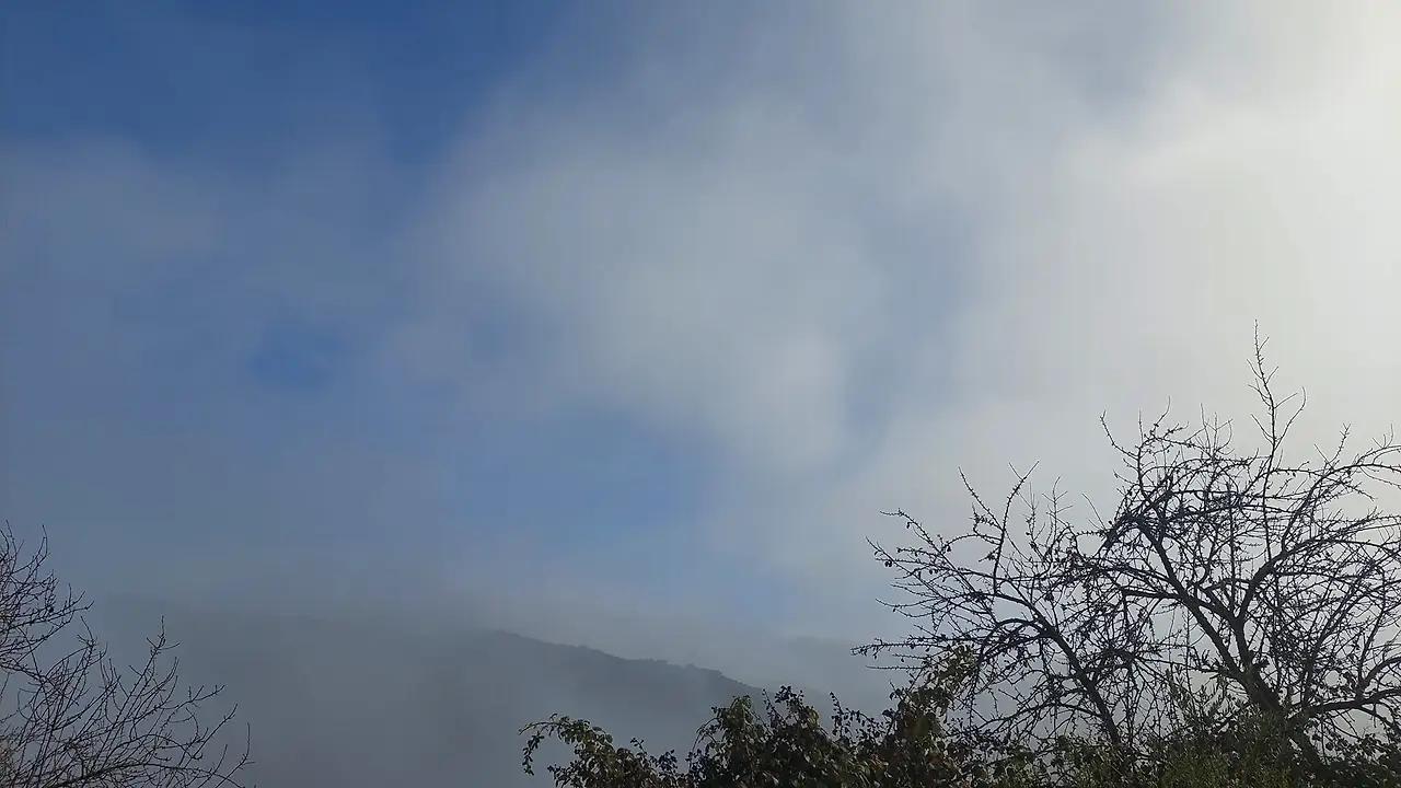 324406101_571870611026147_5971949518202856254_n.jpg?_nc_cat=108&ccb=1-7&_nc_sid=5614bc&_nc_ohc=Fezu-4a-lqYAX-hgd_8&_nc_ht=scontent-ssn1-1.xx&oh=00_AfAbMTZVVBQMygWR09QNbcs5XzsRthsf-rFmivnU0f5Icw&oe=64F439CC