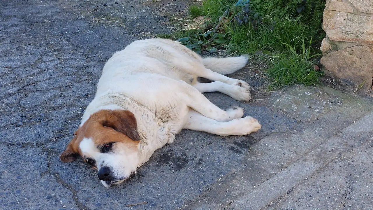 327260779_709885880538628_7252368260816282197_n.jpg?_nc_cat=103&ccb=1-7&_nc_sid=5614bc&_nc_ohc=x0W7bru_ojMAX9EWswE&_nc_ht=scontent-ssn1-1.xx&oh=00_AfCJ-MCvG0Bt0LfA7FNVCdc8CvM-YFfQz5f7xMDIpQU0Vw&oe=64F5AD5E