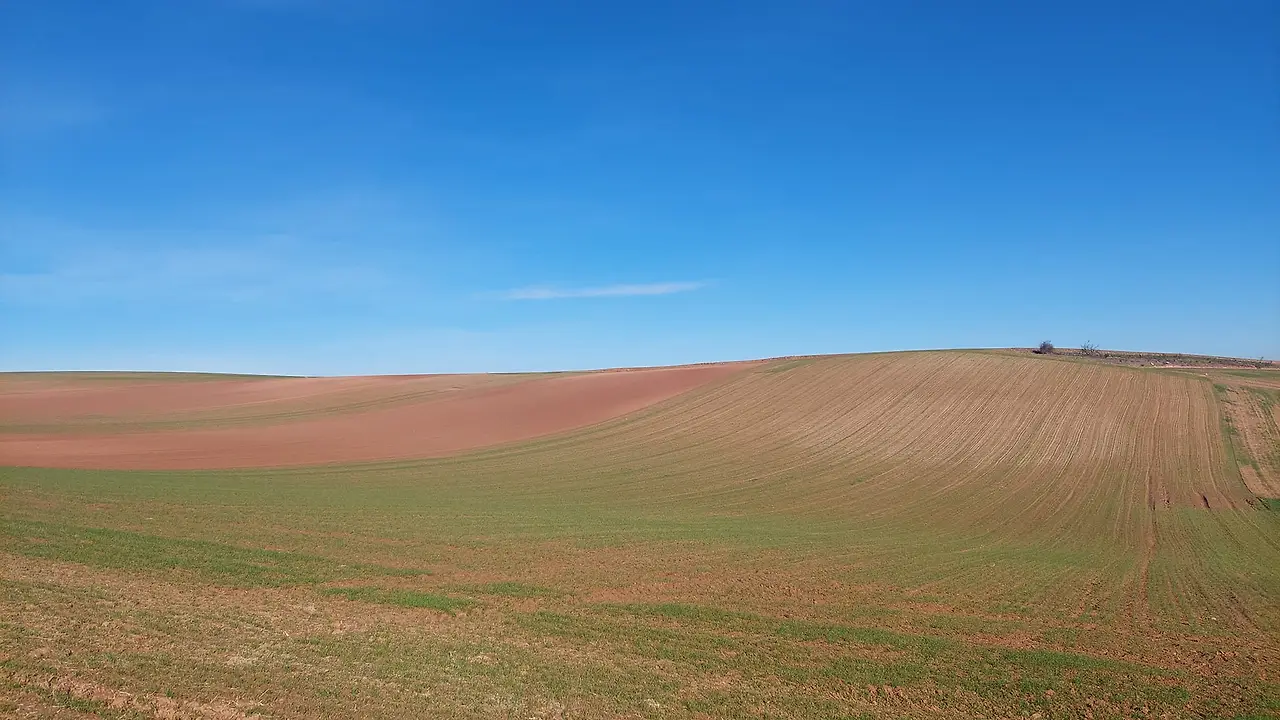 324504718_854943825785253_614477028128450736_n.jpg?_nc_cat=105&ccb=1-7&_nc_sid=5614bc&_nc_ohc=yt1HEpsu2rwAX_KGfbw&_nc_ht=scontent-ssn1-1.xx&oh=00_AfAd01LHU2lcjlHzldR8kfd-xWrSyV1OdJldwq6LCU9r-A&oe=64F60CE8