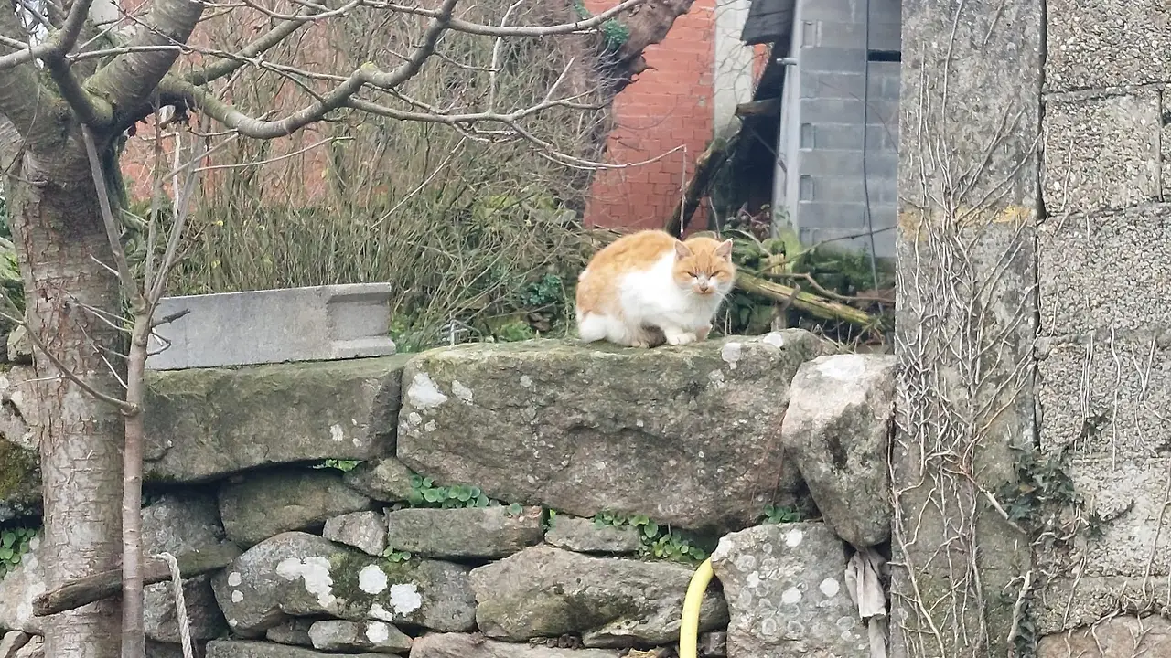 326421929_736203524473705_2504793712803512723_n.jpg?_nc_cat=109&ccb=1-7&_nc_sid=5614bc&_nc_ohc=eojIk7M5y-8AX9KhKVg&_nc_ht=scontent-ssn1-1.xx&oh=00_AfDh31UBsSwFMb5gyiuEKkl7N46WTW1XOHPESAXg_1QOpg&oe=64F466AF