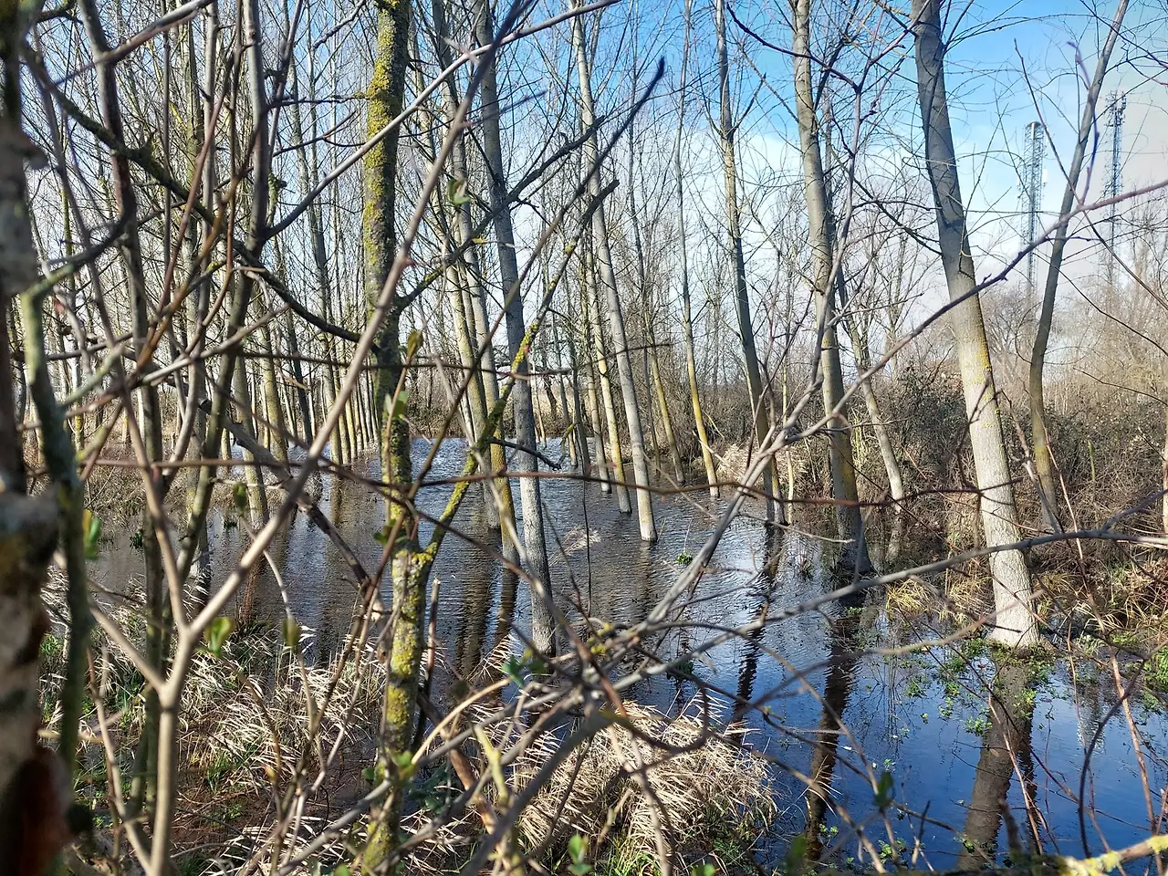 325857086_688700289617852_6239211570814615029_n.jpg?_nc_cat=101&ccb=1-7&_nc_sid=5614bc&_nc_ohc=dHASauSrpHIAX8aovZx&_nc_ht=scontent-ssn1-1.xx&oh=00_AfDnwLFM5M6OpWUF7GmQldbwSMpuZy6Q9IsV5-Ij1gQN1w&oe=64F4839F