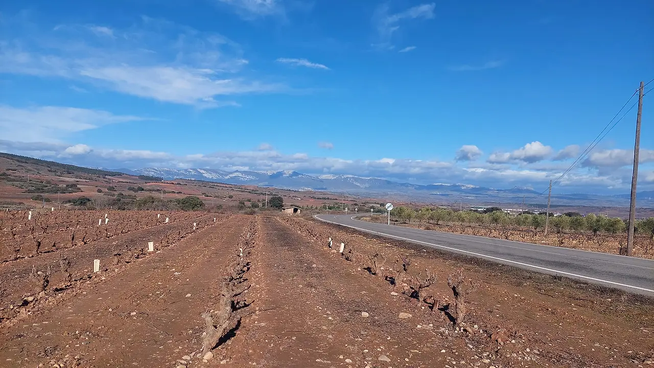 324664085_856150702284869_5406779533692915941_n.jpg?_nc_cat=106&ccb=1-7&_nc_sid=5614bc&_nc_ohc=ZK8zAa6amxAAX-FvJgA&_nc_oc=AQkFvASI0NSkfa2h0wPzg8TbGMismvCjngVUL_ROEqPDEJG6TMF3vmo1b0rd1ZRf3Uw&_nc_ht=scontent-ssn1-1.xx&oh=00_AfAIHoBZV3P3Psg3bieym5PUCZfzdMdhe9ZO1GgkMd5SRA&oe=64F45280