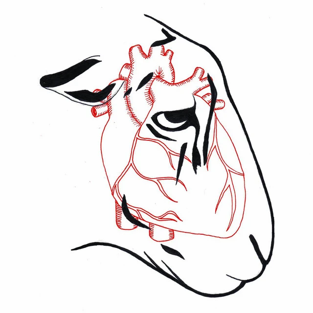 ab67616d0000b273543b4251af47338c798000a4