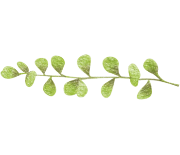 original_4.png?type=p100_100