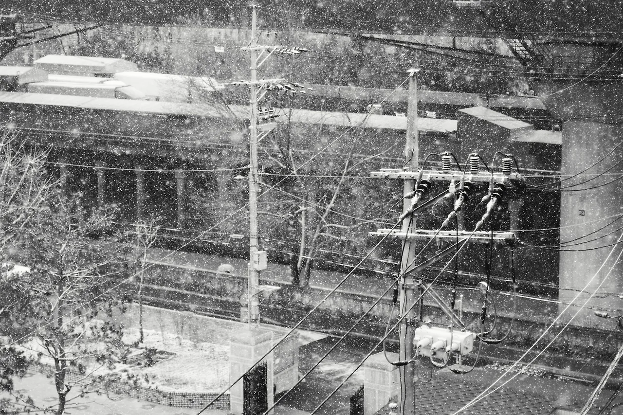 photo-1581839461723-650648233821?ixlib=rb-4.1.0&ixid=M3wxMjA3fDB8MHxwaG90by1wYWdlfHx8fGVufDB8fHx8fA%3D%3D&fm=jpg&q=60&w=3000