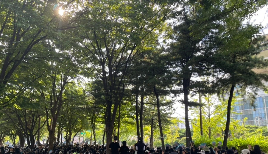 SE-4329BBB8-D6EA-455B-A401-F298A498D597.jpg?type=w1