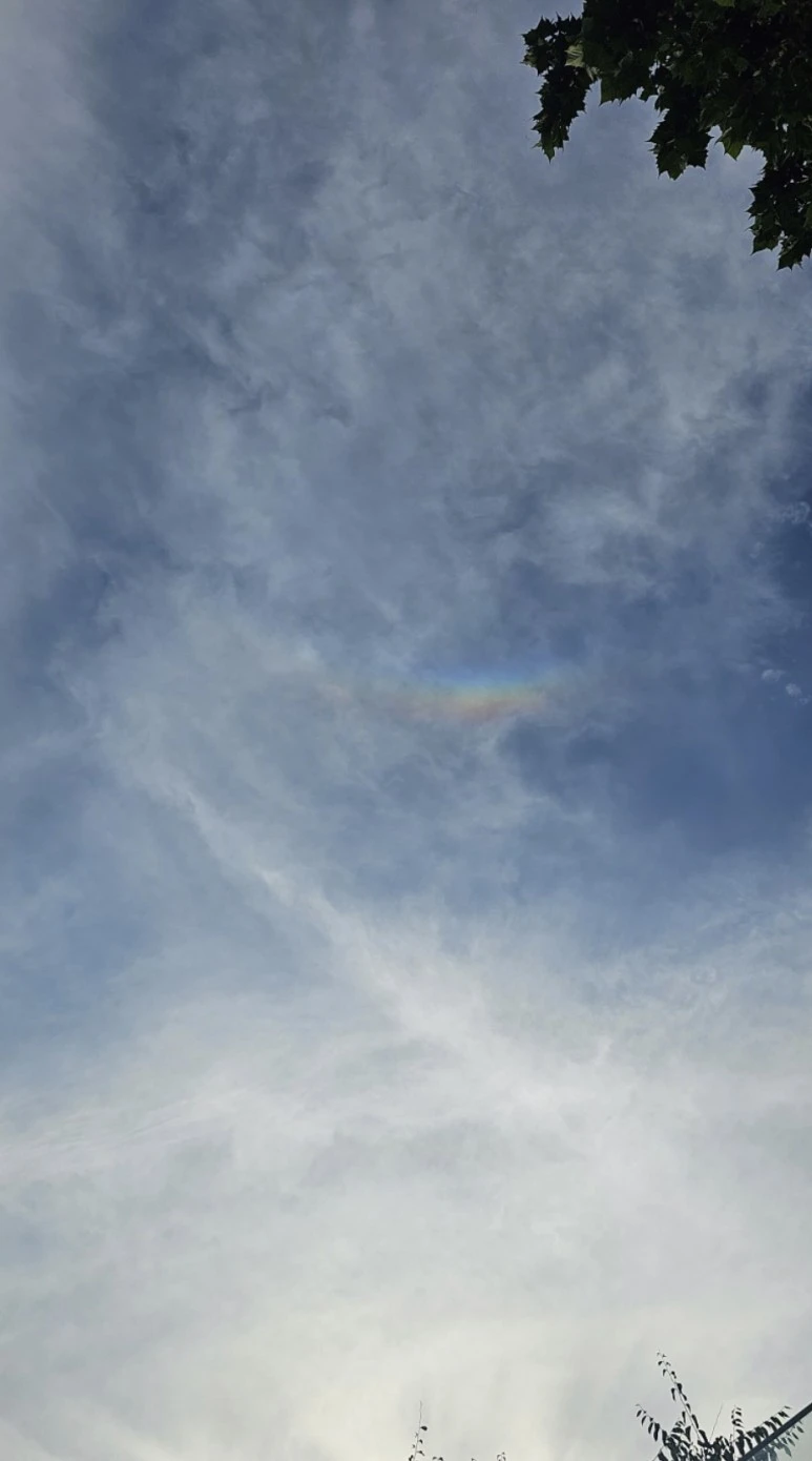 %EC%97%AC%EC%9D%98%EB%8F%84,_%EB%AC%B4%EC%A7%80%EA%B0%9C.jpg?type=w773