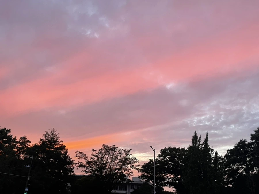 IMG_6167.jpg?type=w1