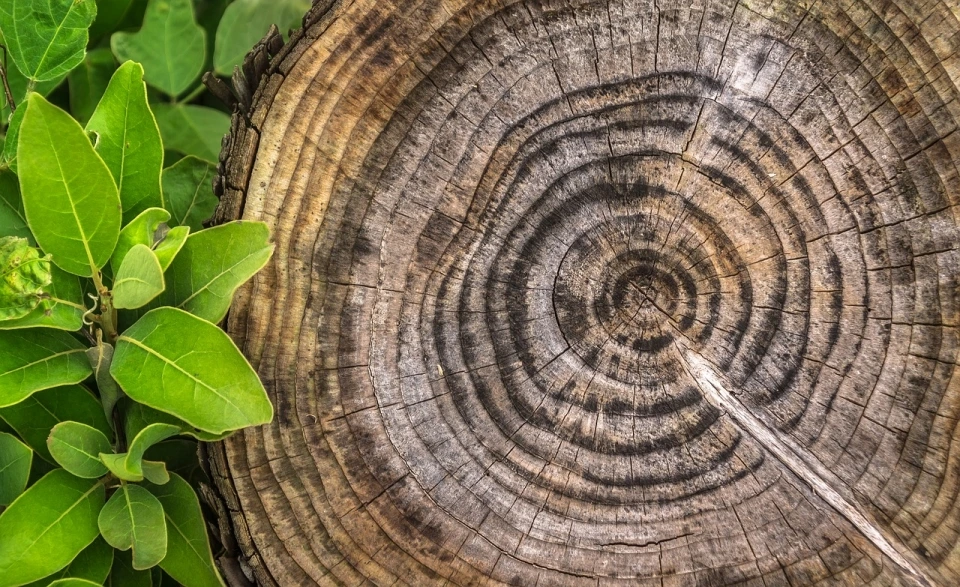 Y_Zdm82giS_pL2IGoDrFoLQwVtTMCNrtCX3HYmT4l2Mjjhi3zOzONQUDq8Gn-Pqvm8apL-iBDG3jwFmVrG_djSK08Ld-tqroXnVxachDabNaf_4VQY9NZ3AljMfah4CdSZj4IjQHRcxMU61R4U_k9QDgVWjBlH0Z9H14mZlLvdeTJhvbW5u0jaHyU3Zy5w