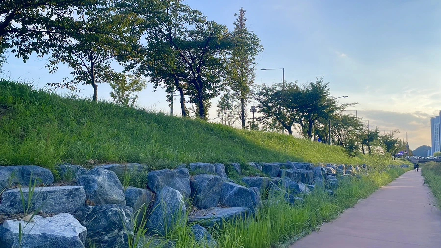 IMG_9022.JPG?type=w1