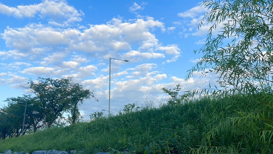 IMG_9021.JPG?type=w1