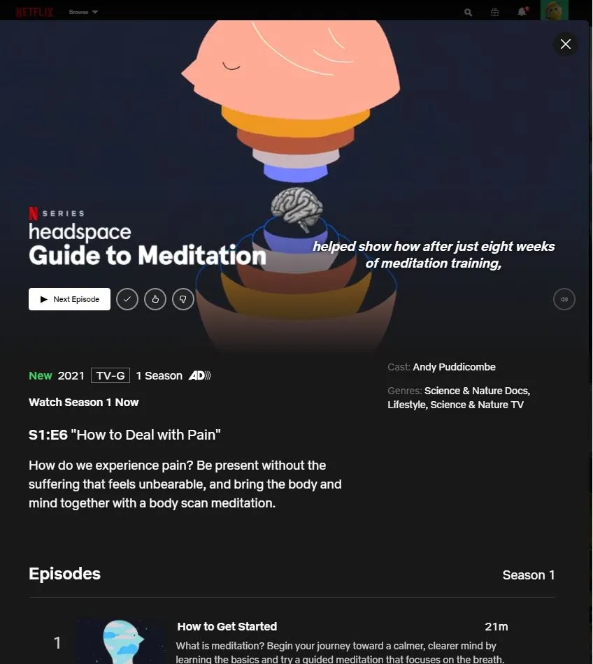 Neflix Headspace.JPG