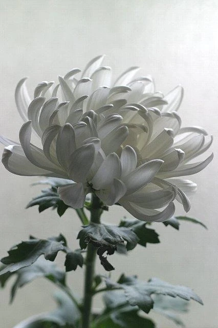 1564097040860.jpg?type=w740