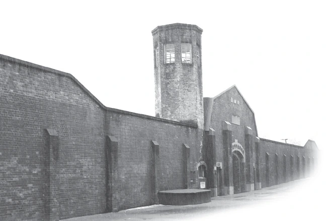 2528903E587F20D12FC856