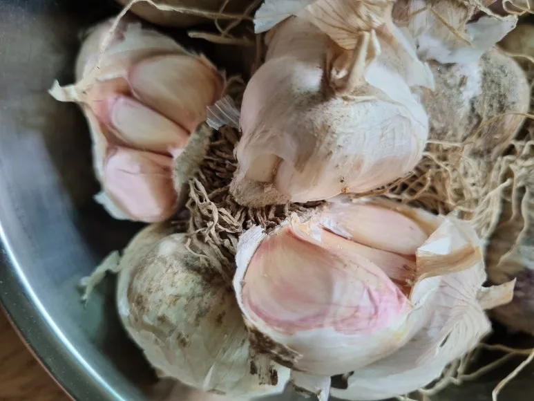 KakaoTalk_20230710_210136693.jpg?type=w773