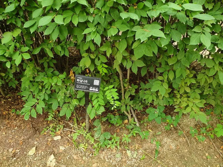 %ED%99%94%EC%82%B4%EB%82%98%EB%AC%B4.jpg?type=w773