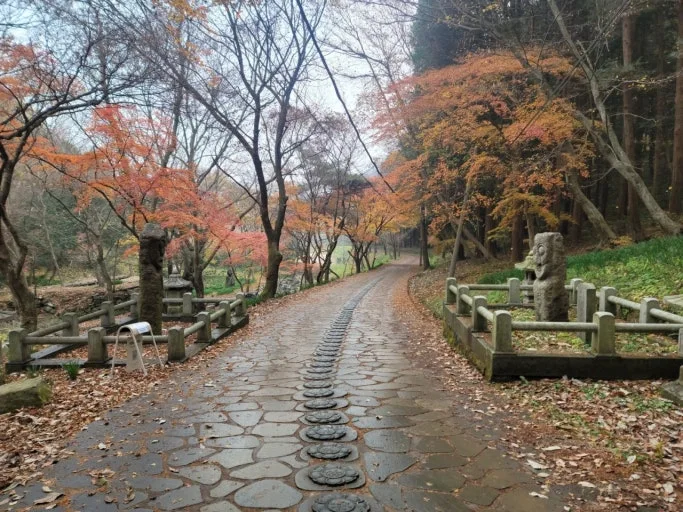 %EB%8B%A4%EC%9A%B4%EB%A1%9C%EB%93%9C_(8).jpg?type=w773