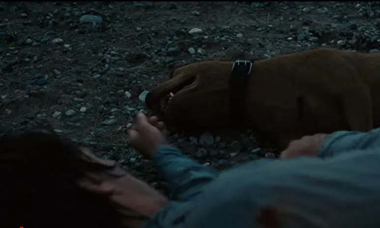 %EA%B0%9C2.JPG?type=w773