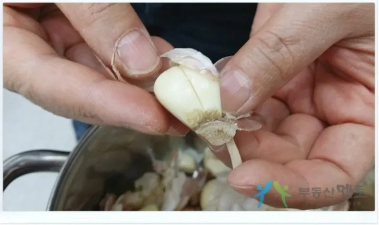 %EB%8B%A4%EC%9A%B4%EB%A1%9C%EB%93%9C.jpg?type=w773