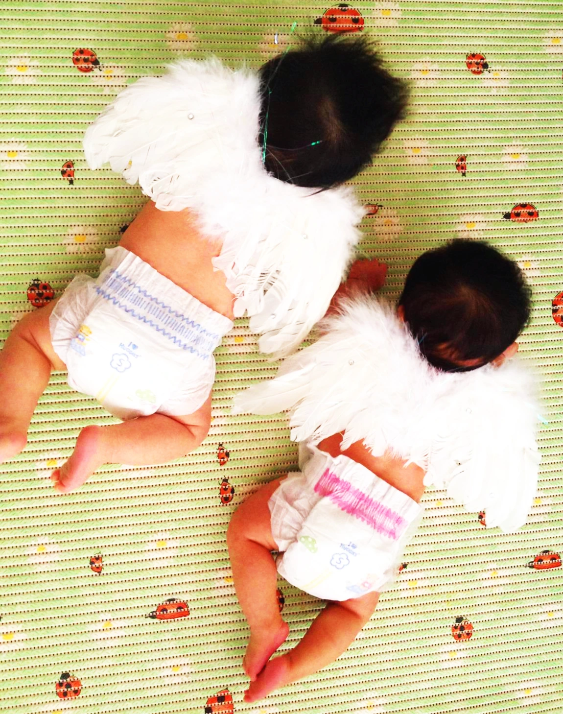 정빈_채원 100.JPG