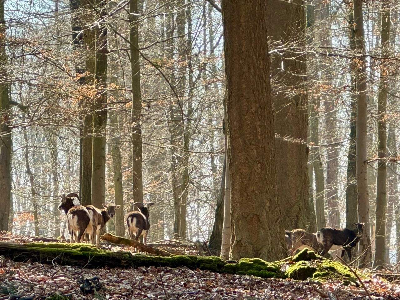 KakaoTalk_Photo_2025-03-08-17-22-44 001.jpeg