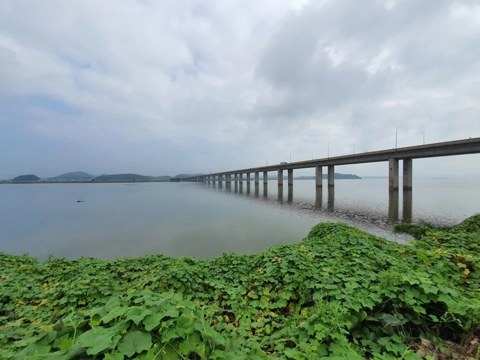 비포 더 플러드 1.jpeg