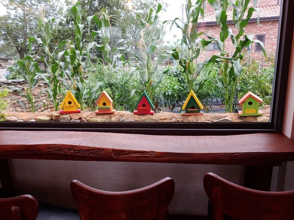 페북 낙타.jpeg