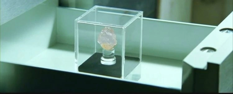 블러드 다이아몬드5.jpeg